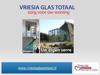 www.vriesiaglastotaal.nl
 