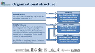 Organizational structure
 
