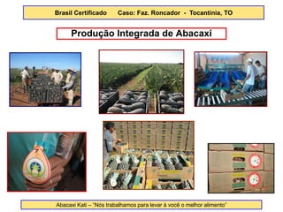 Produção Integrada de Abacaxi 
Abacaxi Kati – “Nós trabalhamos para levar à você o melhor alimento” 
Brasil Certificado Caso: Faz. Roncador - Tocantínia, TO  