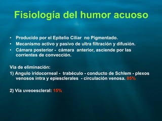 Glaucoma Slide 20