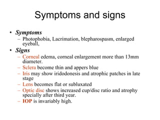 Symptoms and signs Symptoms Photophobia, Lacrimation, blepharospasm, enlarged eyeball,  Signs Corneal  edema, corneal enlargement more than 13mm diameter. Sclera   become thin and appers blue Iris   may show iridodonesis and atrophic patches in late stage Lens   becomes flat or subluxated Optic disc   shows increased cup/disc ratio and atrophy specially after third year. IOP  is invariably high. 