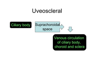 Uveoscleral Ciliary body Suprachoroidal space Venous circulation  of ciliary body,  choroid and sclera 