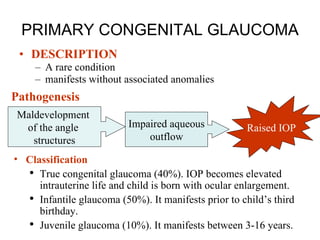 PRIMARY CONGENITAL GLAUCOMA DESCRIPTION A rare condition  manifests without associated anomalies Pathogenesis Classification True congenital glaucoma (40%). IOP becomes elevated intrauterine life and child is born with ocular enlargement. Infantile glaucoma (50%). It manifests prior to child’s third birthday.  Juvenile glaucoma (10%). It manifests between 3-16 years. Maldevelopment  of the angle  structures Impaired aqueous outflow Raised IOP 
