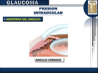 Glaucoma | PDF