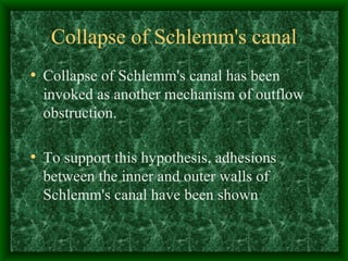 Collapse of Schlemm's canal Collapse of Schlemm's canal has been invoked as another mechanism of outflow obstruction. To support this hypothesis, adhesions between the inner and outer walls of Schlemm's canal have been shown 