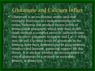 Glutamate and Calcium influx Glutamate is an excitotoxic amino acid that normally functions as a neurotransmitter in the retina. Ischemia can produce excess levels of extracellular glutamate, which may lead to cell death through a complex series of cellular events that involves glutamate receptors and Ca+ + influx into the cell.Elevated levels of glutamate in the vitreous have been demonstrated in glaucomatous monkeys and humans, garnering support for this theory. It is unclear whether the accumulation of vitreal glutamate is a primary or secondary process in glaucoma.  