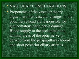 VASCULAR CONSIDERATIONS  Proponents of the vascular theory argue that microvascular changes in the optic nerve head are responsible for glaucomatous optic nerve damage. Blood supply to the prelaminar and laminar areas of the optic nerve is derived from the peripapillary choroid and short posterior ciliary arteries. 