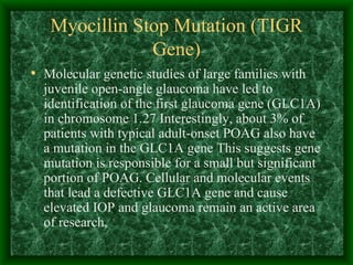 Myocillin Stop Mutation (TIGR Gene) Molecular genetic studies of large families with juvenile open-angle glaucoma have led to identification of the first glaucoma gene (GLC1A) in chromosome 1.27 Interestingly, about 3% of patients with typical adult-onset POAG also have a mutation in the GLC1A gene This suggests gene mutation is responsible for a small but significant portion of POAG. Cellular and molecular events that lead a defective GLC1A gene and cause elevated IOP and glaucoma remain an active area of research.  