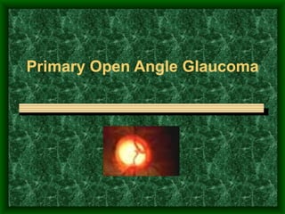 Primary Open Angle Glaucoma 