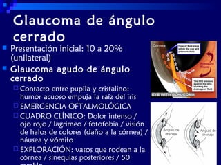 Glaucoma de ángulo
cerrado




Presentación inicial: 10 a 20%
(unilateral)
Glaucoma agudo de ángulo
cerrado
 Contacto

entre pupila y cristalino:
humor acuoso empuja la raíz del iris
 EMERGENCIA OFTALMOLÓGICA
 CUADRO CLÍNICO: Dolor intenso /
ojo rojo / lagrimeo / fotofobia / visión
de halos de colores (daño a la córnea) /
náusea y vómito
 EXPLORACIÓN: vasos que rodean a la
córnea / sinequias posteriores / 50

 