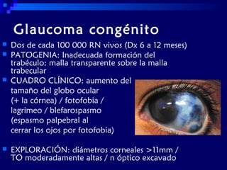 Glaucoma congénito







Dos de cada 100 000 RN vivos (Dx 6 a 12 meses)
PATOGENIA: Inadecuada formación del
trabéculo: malla transparente sobre la malla
trabecular
CUADRO CLÍNICO: aumento del
tamaño del globo ocular
(+ la córnea) / fotofobia /
lagrimeo / blefarospasmo
(espasmo palpebral al
cerrar los ojos por fotofobia)
EXPLORACIÓN: diámetros corneales >11mm /
TO moderadamente altas / n óptico excavado

 