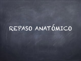 REPASO ANATÓMICO
 