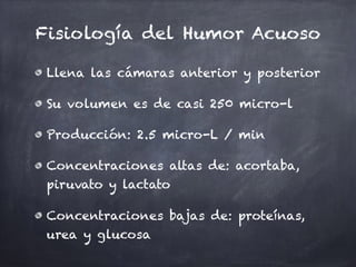 Fisiología del Humor Acuoso
Llena las cámaras anterior y posterior
Su volumen es de casi 250 micro-l
Producción: 2.5 micro-L / min
Concentraciones altas de: acortaba,
piruvato y lactato
Concentraciones bajas de: proteínas,
urea y glucosa
 