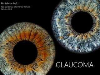 GLAUCOMA
GLAUCOMA
Dr. Roberto Leal L.
Itzel Cárdenas y Fernanda Romero
Octubre 2018
 