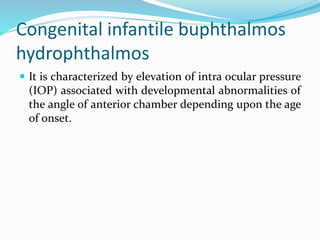 Congenital infantile buphthalmos
hydrophthalmos
 It is characterized by elevation of intra ocular pressure
(IOP) associated with developmental abnormalities of
the angle of anterior chamber depending upon the age
of onset.
 