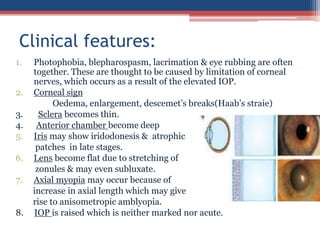 1. Photophobia, blepharospasm, lacrimation & eye rubbing are often
together. These are thought to be caused by limitation of corneal
nerves, which occurs as a result of the elevated IOP.
2. Corneal sign
Oedema, enlargement, descemet’s breaks(Haab’s straie)
3. Sclera becomes thin.
4. Anterior chamber become deep
5. Iris may show iridodonesis & atrophic
patches in late stages.
6. Lens become flat due to stretching of
zonules & may even subluxate.
7. Axial myopia may occur because of
increase in axial length which may give
rise to anisometropic amblyopia.
8. IOP is raised which is neither marked nor acute.
Clinical features:
 