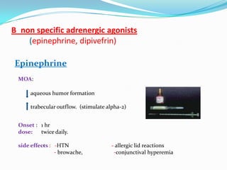 B_non specific adrenergic agonists
    (epinephrine, dipivefrin)

Epinephrine
 MOA:

     aqueous humor formation

     trabecular outflow. (stimulate alpha-2)


 Onset : 1 hr
 dose:   twice daily.

 side effects : -HTN
           -                          - allergic lid reactions
                - browache,            -conjunctival hyperemia
 