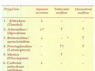 The end slide
Thank you
 