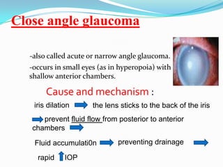 Close angle glaucoma

  -also called acute or narrow angle glaucoma.
  -occurs in small eyes (as in hyperopoia) with
  shallow anterior chambers.

       Cause and mechanism :
   iris dilation      the lens sticks to the back of the iris
      prevent fluid flow from posterior to anterior
   chambers

   Fluid accumulati0n         preventing drainage

    rapid     IOP
 