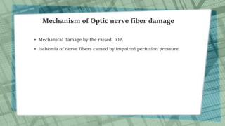 Mechanism of Optic nerve fiber damage
• Mechanical damage by the raised IOP.
• Ischemia of nerve fibers caused by impaired perfusion pressure.
 