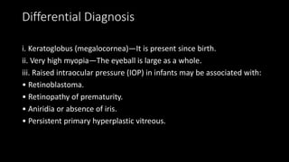 Differential Diagnosis
i. Keratoglobus (megalocornea)—It is present since birth.
ii. Very high myopia—The eyeball is large as a whole.
iii. Raised intraocular pressure (IOP) in infants may be associated with:
• Retinoblastoma.
• Retinopathy of prematurity.
• Aniridia or absence of iris.
• Persistent primary hyperplastic vitreous.
 