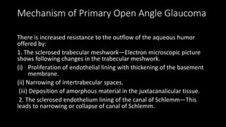 Mechanism of Primary Open Angle Glaucoma
There is increased resistance to the outflow of the aqueous humor
offered by:
1. The sclerosed trabecular meshwork—Electron microscopic picture
shows following changes in the trabecular meshwork.
(i) Proliferation of endothelial lining with thickening of the basement
membrane.
(ii) Narrowing of intertrabecular spaces.
(iii) Deposition of amorphous material in the juxtacanalicular tissue.
2. The sclerosed endothelium lining of the canal of Schlemm—This
leads to narrowing or collapse of canal of Schlemm.
 