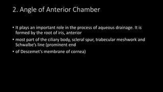 2. Angle of Anterior Chamber
• It plays an important role in the process of aqueous drainage. It is
formed by the root of iris, anterior
• most part of the ciliary body, scleral spur, trabecular meshwork and
Schwalbe’s line (prominent end
• of Descemet’s membrane of cornea)
 