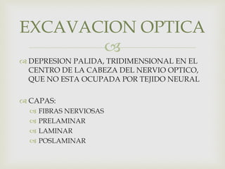
 DEPRESION PALIDA, TRIDIMENSIONAL EN EL
CENTRO DE LA CABEZA DEL NERVIO OPTICO,
QUE NO ESTA OCUPADA POR TEJIDO NEURAL
 CAPAS:
 FIBRAS NERVIOSAS
 PRELAMINAR
 LAMINAR
 POSLAMINAR
EXCAVACION OPTICA
 