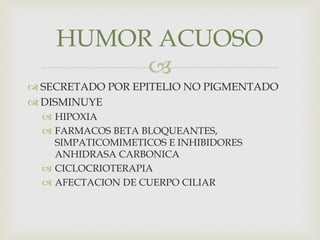 
 SECRETADO POR EPITELIO NO PIGMENTADO
 DISMINUYE
 HIPOXIA
 FARMACOS BETA BLOQUEANTES,
SIMPATICOMIMETICOS E INHIBIDORES
ANHIDRASA CARBONICA
 CICLOCRIOTERAPIA
 AFECTACION DE CUERPO CILIAR
HUMOR ACUOSO
 