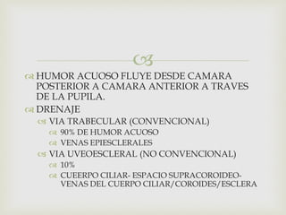 
 HUMOR ACUOSO FLUYE DESDE CAMARA
POSTERIOR A CAMARA ANTERIOR A TRAVES
DE LA PUPILA.
 DRENAJE
 VIA TRABECULAR (CONVENCIONAL)
 90% DE HUMOR ACUOSO
 VENAS EPIESCLERALES
 VIA UVEOESCLERAL (NO CONVENCIONAL)
 10%
 CUEERPO CILIAR- ESPACIO SUPRACOROIDEO-
VENAS DEL CUERPO CILIAR/COROIDES/ESCLERA
 