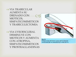 
 VIA TRABECULAR
AUMENTA SU
DRENADO CON
MIOTICOS,
SIMPATICOMIMETICOS
Y TRABECULECTOMIA
 VIA UVEOESCLERAL
DISMINUYE CON
MIOTICOS Y AUMENTA
CON ATROPINA,
SIMPATICOMIMETICOS
Y PROSTRAGLANDINAS
 