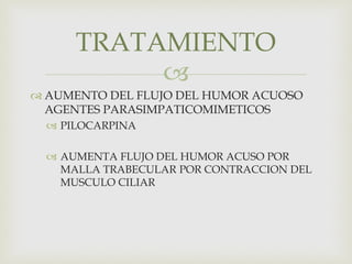 
 AUMENTO DEL FLUJO DEL HUMOR ACUOSO
AGENTES PARASIMPATICOMIMETICOS
 PILOCARPINA
 AUMENTA FLUJO DEL HUMOR ACUSO POR
MALLA TRABECULAR POR CONTRACCION DEL
MUSCULO CILIAR
TRATAMIENTO
 