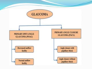 Glaucoma Presentation for Medical and Pharmacy Graduates | PPT