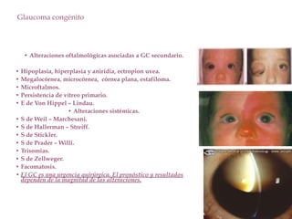 Glaucoma congénito
• Alteraciones oftalmológicas asociadas a GC secundario.
• Hipoplasia, hiperplasia y aniridia, ectropion uvea.
• Megalocórnea, microcórnea, córnea plana, estafiloma.
• Microftalmos.
• Persistencia de vítreo primario.
• E de Von Hippel – Lindau.
• Alteraciones sistémicas.
• S de Weil – Marchesani.
• S de Hallerman – Streiff.
• S de Stickler.
• S de Prader – Willi.
• Trisomias.
• S de Zellweger.
• Facomatosis.
• El GC es una urgencia quirúrgica. El pronóstico y resultados
dependen de la magnitud de las alteraciones.
 