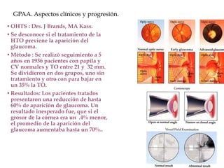 GPAA. Aspectos clínicos y progresión.
• OHTS : Drs. J Brands, MA Kass.
• Se desconoce si el tratamiento de la
HTO previene la aparición del
glaucoma.
• Método : Se realizó seguimiento a 5
años en 1936 pacientes con papila y
CV normales y TO entre 21 y 32 mm.
Se dividieron en dos grupos, uno sin
tratamiento y otro con para bajar en
un 35% la TO.
• Resultados: Los pacientes tratados
presentaron una reducción de hasta
60% de aparición de glaucoma. Un
resultado inesperado fue, que si el
grosor de la córnea era un .4% menor,
el promedio de la aparición del
glaucoma aumentaba hasta un 70%..
 