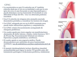 GPAC.
• La característica es una CA estrecha con A* también
estrecho dado por el iris en su totalidad o solo por la raíz
(pico de ave), es mas frecuente en ojos hipermétropes y
puede detectarse con luz horizontal. El resultado es una
dificultad al flujo del HA. Una vez detectada podemos
encontrar:
• Una CA estrecha sin ninguna otra anomalía asociada
(tonometría periódica y considerar los factores de riesgo).
• Un GPAC subagudo por no ser la HTO constante pero
puede haber alteraciones papilares y campimétricas.
• Un GPAC crónico frecuentemente acompañado de
sinequias periféricas.
• Un cuadro agudo por cierre angular con manifestaciones
alarmantes de dolor intenso, vómito, visión borrosa y TO >
de 50 mm Hg. Frecuentemente bilateral con intensa
hiperemia y pupila midriática y arrefléxica.
• El cuadro agudo es una urgencia médica. Puede
desencadenarse por ambientes de poca luminosidad,
senilidad y uso de midriáticos con fines exploratorios de F de
O.
• El manejo intrahospitalario incluye diuréticos (manitol,
acetazolamida) para lograr la menor TO posible antes del
tratamiento quirúrgico ( Iridectomía periférica, iridotomía)
 
