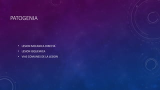 PATOGENIA
• LESION MECANICA DIRECTA
• LESION ISQUEMICA
• VIAS COMUNES DE LA LESION
 
