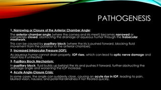 PATHOGENESIS
1. Narrowing or Closure of the Anterior Chamber Angle:
The anterior chamber angle (where the cornea and iris meet) becomes narrowed or
completely closed, obstructing the drainage of aqueous humor through the trabecular
meshwork.
This can be caused by pupillary block (where the iris is pushed forward, blocking fluid
movement from the posterior to the anterior chamber).
2. Increased Intraocular Pressure (IOP):
As aqueous humor cannot drain properly, IOP rises, which can lead to optic nerve damage and
vision loss if untreated.
3. Pupillary Block Mechanism:
In pupillary block, fluid builds up behind the iris and pushes it forward, further obstructing the
drainage angle and worsening the IOP increase.
4. Acute Angle-Closure Crisis:
In some cases, the angle can suddenly close, causing an acute rise in IOP, leading to pain,
blurred vision, nausea, and potential blindness if not treated quickly.
 