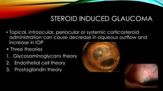 STEROID INDUCED GLAUCOMA
• Topical, intraocular, periocular or systemic corticosteroid
administration can cause decrease in aqueous outflow and
increase in IOP
• Three theories
1. Glycosaminoglycans theory
2. Endothelial cell theory
3. Prostaglandin theory
 