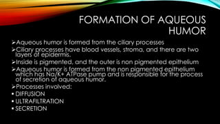 FORMATION OF AQUEOUS
HUMOR
➢Aqueous humor is formed from the ciliary processes
➢Ciliary processes have blood vessels, stroma, and there are two
layers of epidermis.
➢Inside is pigmented, and the outer is non pigmented epithelium
➢Aqueous humor is formed from the non pigmented epithelium
which has Na/K+ ATPase pump and is responsible for the process
of secretion of aqueous humor.
➢Processes involved:
▪ DIFFUSION
▪ ULTRAFILTRATION
▪ SECRETION
 