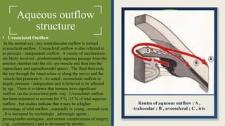 Aqueous outflow
structure
• Uveoscleral Outflow
In the normal eye , any nontrabecular outflow is termed
uveoscleral outflow . Uveoscleral outflow is also referred to
as pressure - independent outflow . A variety of mechanisms
are likely involved , predominantly aqueous passage from the
anterior chamber into the cili- ary muscle and then into the
supraciliary and suprachoroidal spaces . The fluid then exits
the eye through the intact sclera or along the nerves and the
vessels that penetrate it . As noted , uveoscleral outflow is
largely pressure - independent and is believed to be affected
by age . There is evidence that humans have significant
outflow via the uveoscleral path- way . Uveoscleral outflow
has been estimated to account for 5 % -15 % of total aqueous
outflow , but studies indicate that it may be a higher
percentage of total outflow , especially in young , normal eyes
. It is increased by cycloplegia , adrenergic agents ,
prostaglandin analogues , and certain complications of surgery
( eg , cyclodialysis ) and is decreased by miotics .
Routes of aqueous outflow : A ,
trabecular ; B , uveoscleral ; C , iris
 