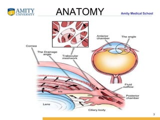 Angle Closure Glaucoma | PPTX