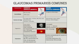 GLAUCOMAS PRIMARIOS COMUNES
 
