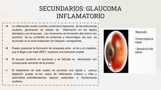 ➔ La inflamación ocular (uveítis) condiciona hiperemia de las estructuras
oculares, generación de células de inflamación en los tejidos
afectados y en el acuoso, con incremento de formación del mismo con
aumento de su contenido en proteínas y macró-fagos, los que se
acumulan en la zona trabecular con bloqueo consiguiente.
➔ Puede ocasionar la formación de sinequias entre el iris y el cristalino,
que si llega a ser total (360º) ocasiona una seclusión pupilar.
➔ El acuoso aumenta en secreción y se dificulta su eliminación con
consecuente aumento de la presión.
➢ El tratamiento de este cuadro es provocar una rápida y precoz
dilatación pupilar en los casos de inflamación iridiana o ciliar, y
administrar antiinflamatorios tópicos esteroides e hipotensores
oculares.
SECUNDARIOS: GLAUCOMA
INFLAMATORIO
 