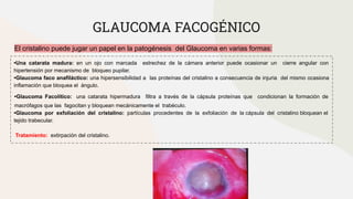 GLAUCOMA FACOGÉNICO
El cristalino puede jugar un papel en la patogénesis del Glaucoma en varias formas:
•Una catarata madura: en un ojo con marcada estrechez de la cámara anterior puede ocasionar un cierre angular con
hipertensión por mecanismo de bloqueo pupilar.
•Glaucoma faco anafiláctico: una hipersensibilidad a las proteínas del cristalino a consecuencia de injuria del mismo ocasiona
inflamación que bloquea el ángulo.
•Glaucoma Facolítico: una catarata hipermadura filtra a través de la cápsula proteínas que condicionan la formación de
macrófagos que las fagocitan y bloquean mecánicamente el trabéculo.
•Glaucoma por exfoliación del cristalino: partículas procedentes de la exfoliación de la cápsula del cristalino bloquean el
tejido trabecular.
Tratamiento: extirpación del cristalino.
 