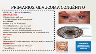 PRIMARIOS: GLAUCOMA CONGÉNITO
GLAUCOMA CONGÉNITO (MINORÍA):
GENERALIDADES:
•Del nacimiento a los 3 años
•8 de cada 1000000 recién nacidos vivos
•65% varones
•Bilateral en el 755 de los casos
•Desarrollo anormal de seno camerular
•Produce obstrucción del humor acuoso
•Asociado a patología exclusivamente ocular(aniridia) o
sistémica(síndrome de Rieger,síndrome de Sturge-Weber,etc).
SINTOMAS:
•Lagrimeo
•Fotofobia
•blefarospasmo (Opresión y espasmos involuntarios de los párpados.)
TRATAMIENTO:
•Goniotomia(incisión en la red trabecular)
•Trabeculotomia
 
