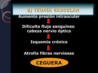 2) TEORÍA VASCULAR
Aumento presión intraocular

 Dificulta flujo sanguíneo
   cabeza nervio óptico

     Isquemia crónica


  Atrofia fibras nerviosas

       CEGUERA
 