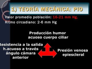 1) TEORÍA MECÁNICA: PIO
   Valor promedio población: 16-21 mm Hg.
   Ritmo circadiano: 2-6 mm Hg


               Producción humor
               acuoso cuerpo ciliar

Resistencia a la salida
  h.acuoso a través           Presión venosa
   ángulo cámara                epiescleral
       anterior
 
