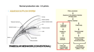 • AQUEOUSOUTFLOW SYSTEM
TRABECULARMESHWORK(CONVENTIONAL)
Normal production rate : 2.3 µl/min.
 