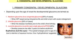 1. PRIMARY CONGENITAL / DEVELOPMENTAL GLAUCOMA
• Depending upon the age of onset the developmental glaucoma are termed as:
1. Newborn glaucoma (true congenital glaucoma)[40% of cases]
• When IOP raised during intrauterine life and child is born with ocular enlargement.
2. Infantile glaucoma [55% of cases]
• When the disease manifests prior to the child’s third birthday
3. Juvenile glaucoma (Juvenile open-angle glaucoma/POAG)[5%]
• Develop pressure rise after 3 years but before adulthood.
Bupthalmos (bull-like eyes) = The eyeball enlarges prior to age of 3 years
due to retention of aqueous humour; thus ‘hydropthalmos’ suggested
A. CONGENITAL AND DEVELOPMENTAL GLAUCOMA
 